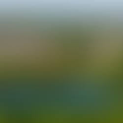 Marina Garden Dresden ausgezeichnet – Wohnen am Fluss wird zum Lebensstil