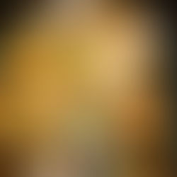 Pho Mum - Traditionell vietnamesische Gerichte zum Genießen!