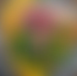 Sachsengast empfiehlt Hickory-Kochsternstunden-Menü!