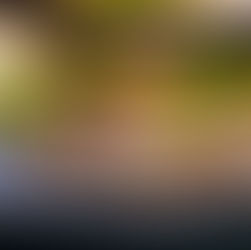 Genusshaus Moritzburg - Kulinarischer Genuss am Schloss!