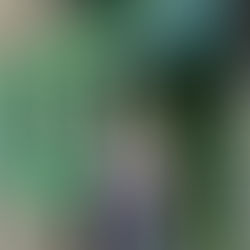 Bischof 72: Peter macht erstmal weiter