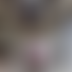 Freude über zweiten Koala-Nachwuchs von Weibchen Eerin