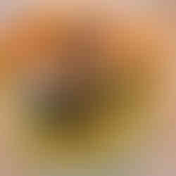 Orangen-Flan mit Rahmeis