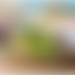 Mittagszeit im Restaurant Nr13 - Genuss am Hafen!