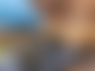 Feuersalamander im Fokus