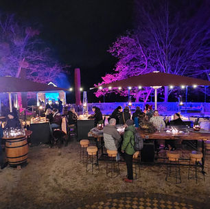 Carolaschlösschen — Idyll, Genuss und Winter-Spaß