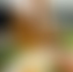 Montag zum Stammtisch in´s DRESDEN 1900!