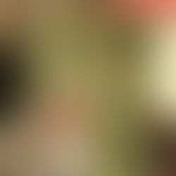 17. April - Adams Gasthof - OSTERSONNTAG BEI ADAMS!