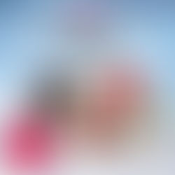 Richter´s - Spezialitäten aus dem Erzgebirge - Neunerlei Wintergrillbox!