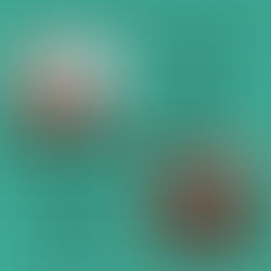 Genusshaus Moritzburg - Tasting zum Fisch- und Waldfest