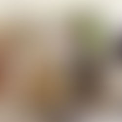 8. Pirnaer Kunstmarkt findet statt – Künstler gesucht