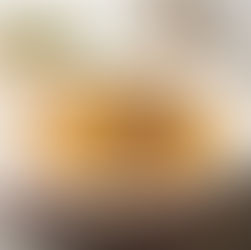 Rindfleischeintopf - Ein Rezept von Dr. Voss!