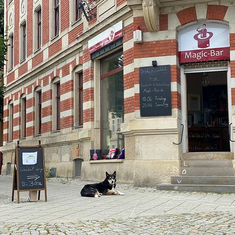 Magic-Bar Externat & Eventlocation - Neue Liefer- und Abholzeiten!