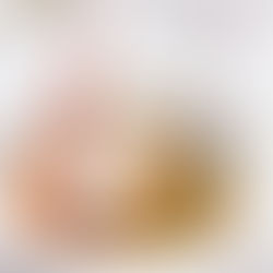 Gastronomen aufgepasst! Die 12. Dresdener Schlössernacht sucht Euch !