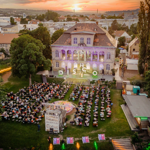 Luftaufnahme Elbschloss Uebigau