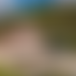 Schloss Wackerbarth - Ein ganz besonderes Wochenende an der Sächsischen Weinstraße steht bevor!