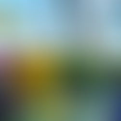 Biergarten Schlossschänke Pirna - Da ist sie wieder! Die Sonne! TOGO ab 14!!