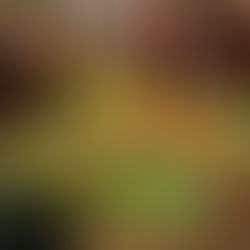 Wulberts Café empfiehlt - Hausgemachte Tortillachips!