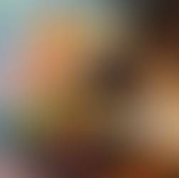 Lloyd's Café & Bar Dresden - Vegetarisch, Lecker, Gut…