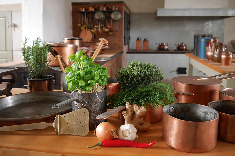 Dresdner Museumsnacht in Schloss & Park Pillnitz