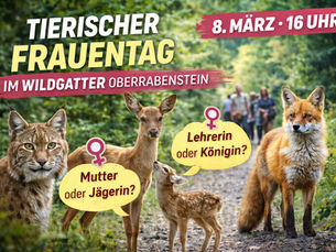 Tierischer Frauentag im Wildgatter Oberrabenstein