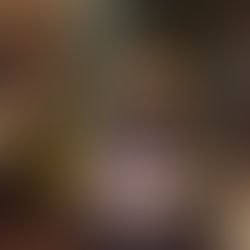 Martinsgans im Ferdinand Possendorf – Genuss mit Herz und Atmosphäre