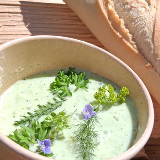 Nature Cooking bringt Teamtag der besonderen Art zur Physiotherapie Nesz