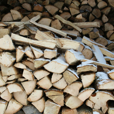 Brennholz aus Sachsen ➤ HOLZ4u versorgt Dresden und Umland 