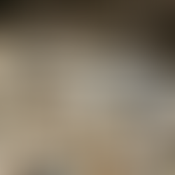 Brennholz aus Sachsen ➤ HOLZ4u versorgt Dresden und Umland 
