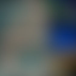 Die Tanzzentrale ist wieder am Start