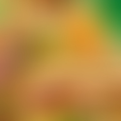 Subway feiert Jubiläum mit „Teriyaki Taste-Explosion“