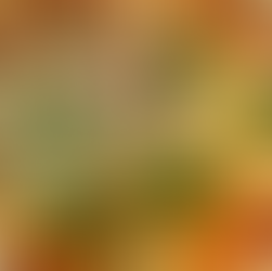 Glutenfreie Pizza ist zurück im Delizia Ristorante & Weinbar - Italienischer Genuss am Weißen Hirsch – jetzt noch inklusiver