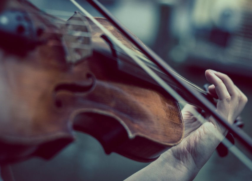Kunst und Genuss in den Lingnerterrassen und im Lingnerschloss