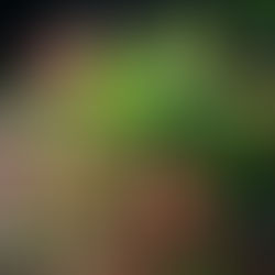 Restaurant Gaumenkitzel - Rhabarber und Spargel tanzen im Beet