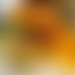 Classico Italiano empfiehlt Burger nach italienischer Art!