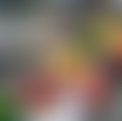 Frisch und regional einkaufen – zwölfmal in der Stadt