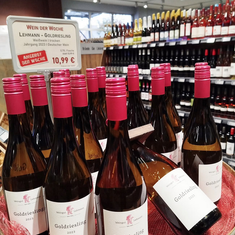 Wein der Woche im Oktober: Weingut Lehmann – Goldriesling 2023
