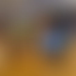 Robusta Mexico - Unser Monatsangebot im Oktober!