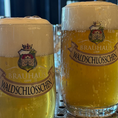Tradition, Zwickel & Elbblick: Das Brauhaus am Waldschlösschen lebt Bierkultur neu