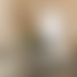 Lust auf Dresden erwartet den 20.000 Blog-Feed!