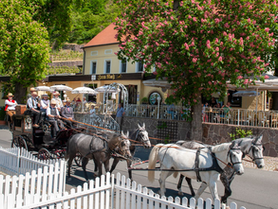 Landgasthof Zum Roß in Diesbar Seuslitz