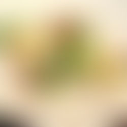 Überraschungsmenüs im Restaurant Menü32!