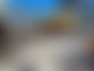 Biergärten Dresden 2026: Diese Spots starten jetzt in die Saison