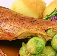 Martinsgans im Luisenhof