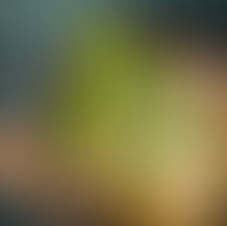 Pho Mum - Unsere Phở Suppen bereiten wir frisch für euch zu!