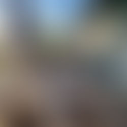 Pillnitzer Elbblick lädt zu sonnigen Genussmomenten