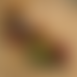 Frisch auf der Karte: Neues Menü in der ElbUferei ab heute!