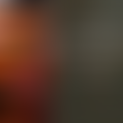 🪿 Martinsgans im Schmidt’s – ein Fest für Genießer