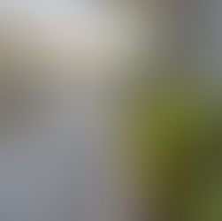 Körnergarten mit längeren Öffnungszeiten