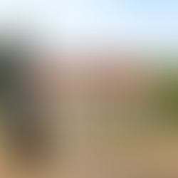 „Ein Sieger-Sekt aus Sachsen“: Schloss Wackerbarth räumt bei Sektwettbewerben ab